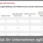 Agil or not agil? Das wissen Produktmanager doch am besten!