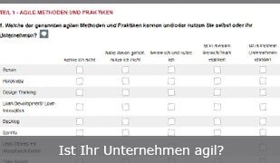 Agil or not agil? Das wissen Produktmanager doch am besten!